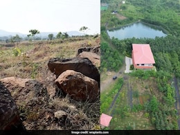 8 Years, 40,000 Trees: How Indore Man Turned Barren Hill Into A Forest