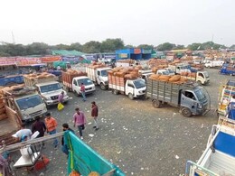 Jabalpuri Matar: जबलपुरिया मटर की देश-विदेश में डिमांड, हर साल 2000 करोड़ का कारोबार, अब सालों लगेगा इसका जायका