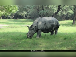World Rhino Day 2026: Assam's Zero-Poaching Success Highlighted By Chief Minister Himanta Biswa Sarma