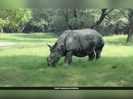 World Rhino Day 2026: Assam's Zero-Poaching Success Highlighted By Chief Minister Himanta Biswa Sarma