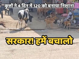 Dog Bite: कुत्तों का ऐसा आतंक, खूंखारों ने चार दिनों में ही 120 से ज्यादा लोगों को किया लहूलुहान