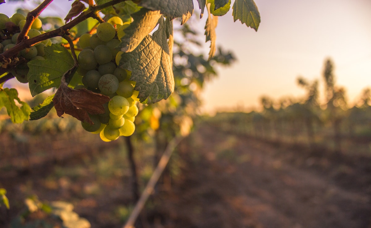 Nashik. Photo: iStock Nashik. Photo: iStock