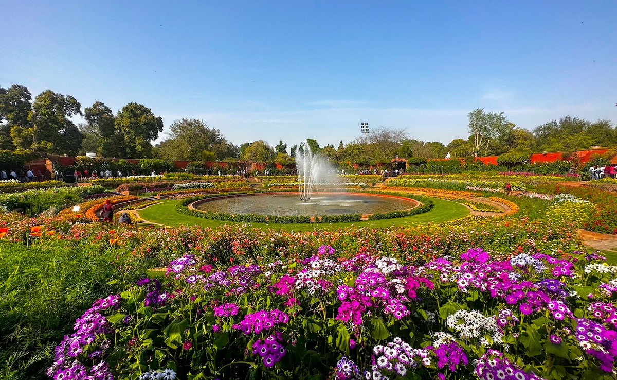 Mughal Gardens. Photo: iStock Mughal Gardens. Photo: iStock