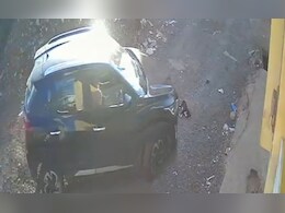 Video: कार चालक ने डॉग के बच्चे को कुचला, मन नहीं भरा तो लौट कर किया ऐसा काम कि देखते ही दहल जाएगा दिल