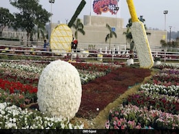 Your Guide To The Ahmedabad Flower Show 2025, From Ticket Prices To Dates Your Guide To The Ahmedabad Flower Show 2025, From Ticket Prices To Dates