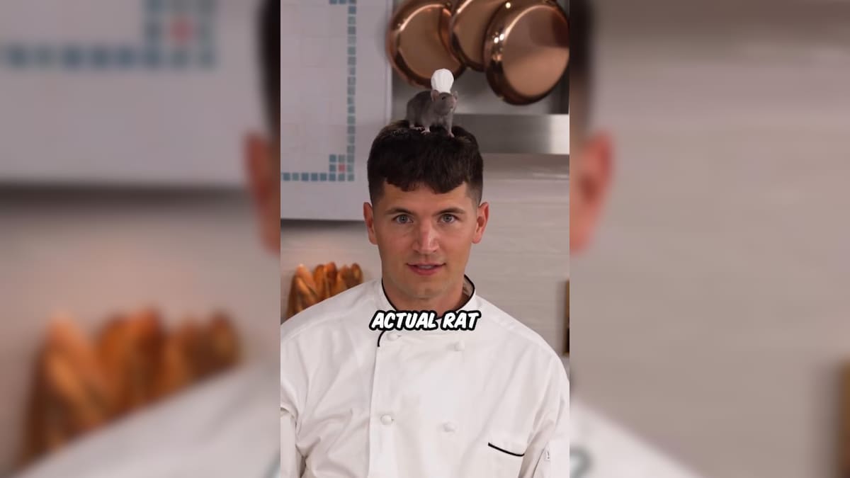Watch: Popular Chef Trains Rat To 'Cook' Ratatouille, Internet Is Amazed