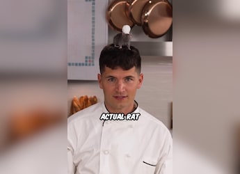Watch: Popular Chef Trains Rat To 'Cook' Ratatouille, Internet Is Amazed Watch: Popular Chef Trains Rat To 'Cook' Ratatouille, Internet Is Amazed