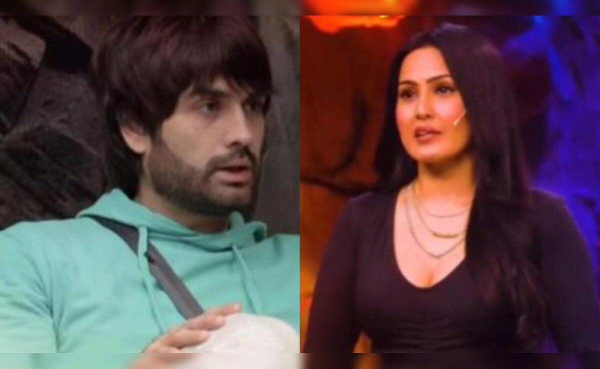 <i>Bigg Boss 18</i>: Vivian Dsena On His Fallout With <i>Shakti</i> Co-Star Kamya Punjabi: "I Felt Strangled"