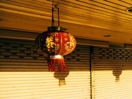 Chinese Lunar New Year 2025: Year Of The Snake, Significance, Famous People Born In It, And More