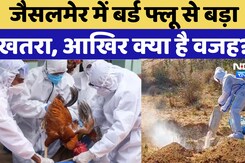 Bird Flu News: Jaisalmer में Bird Flu से बड़ा खतरा, 35 पक्षियों की मौत, आखिर क्या है वजह?