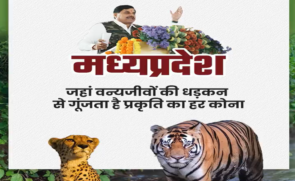MP में वन्यजीव पर्यटन अभियान की शुरुआत, CM ने कहा- प्रकृति ने मध्यप्रदेश को दिए कई वरदान
