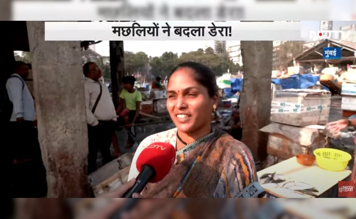 Latest and Breaking News on NDTV Latest and Breaking News on NDTV