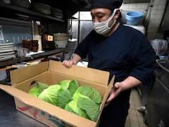 Climate Change Cooks Up Japanese 'Cabbage Shock'
