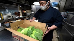 Climate Change Cooks Up Japanese 'Cabbage Shock'