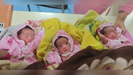 Vidisha Three Children Birth: एक और बेटे की लगाई थी आस, डिलीवरी में हुई एक साथ तीन बच्चियां... जानें-पूरा मामला&nbsp;