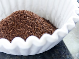 Coffee Filters Aren't Just For Coffee - 6 Surprising Uses You'll Love Coffee Filters Aren't Just For Coffee - 6 Surprising Uses You'll Love
