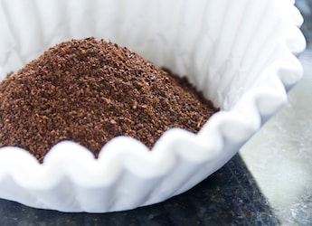 Coffee Filters Aren't Just For Coffee - 6 Surprising Uses You'll Love Coffee Filters Aren't Just For Coffee - 6 Surprising Uses You'll Love