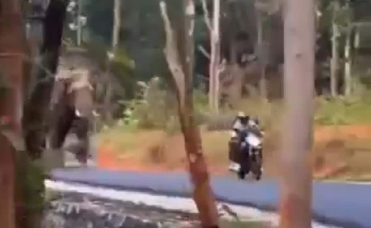 Dramatic Video Shows Elephant Chasing Biker In Kerala Forest