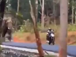 Dramatic Video Shows Elephant Chasing Biker In Kerala Forest Dramatic Video Shows Elephant Chasing Biker In Kerala Forest