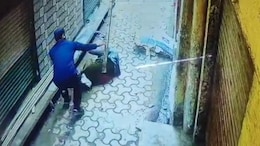 Man Falls To Death From Roof While Throwing Cardboard In UP