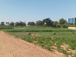 2 हेक्टेयर में फैला राजस्थान का पहला कृषि कैफेटेरिया, किसानों की हर समस्या का यहां होगा समाधान, जानिए खासियतें