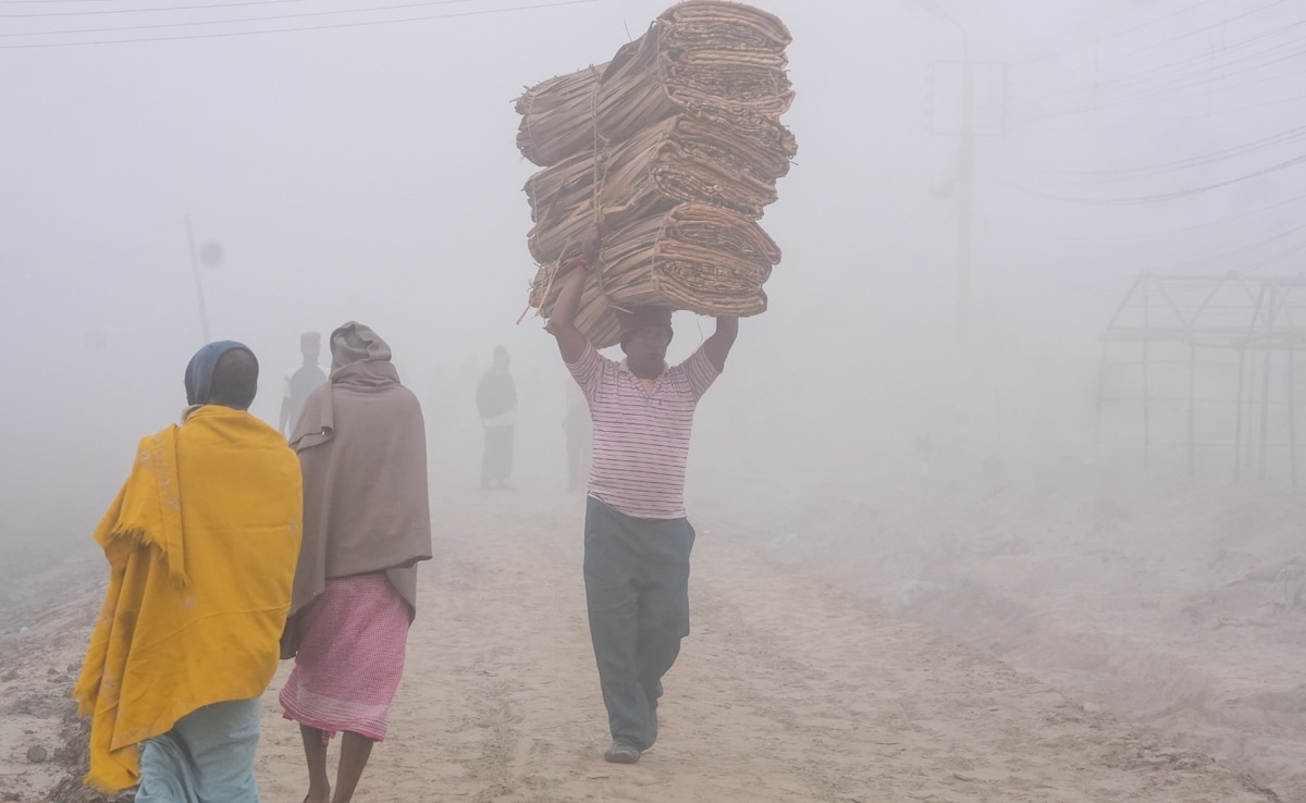 सर्द हवाओं से ठिठुर रही दिल्ली-UP, 16 राज्यों में घना कोहरा, जानें आपके शहर में 5 दिन कैसा रहेगा मौसम | weather report IMD Forecast snowfall temperature rainfall delhi up jammu ...