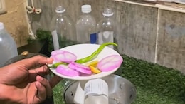 Viral: Hyderabad Restaurant Slammed For Reusing Leftover Onions, Chutneys For Next Customers
