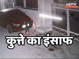 MP News: सागर में कुत्ते ने लिया गजब का बदला ! ड्राइवर ने टक्कर मारी तो खोज करके पूरी गाड़ी को खरोंच डाला, देखें Viral Video MP News: सागर में कुत्ते ने लिया गजब का बदला ! ड्राइवर ने टक्कर मारी तो खोज करके पूरी गाड़ी को खरोंच डाला, देखें Viral Video