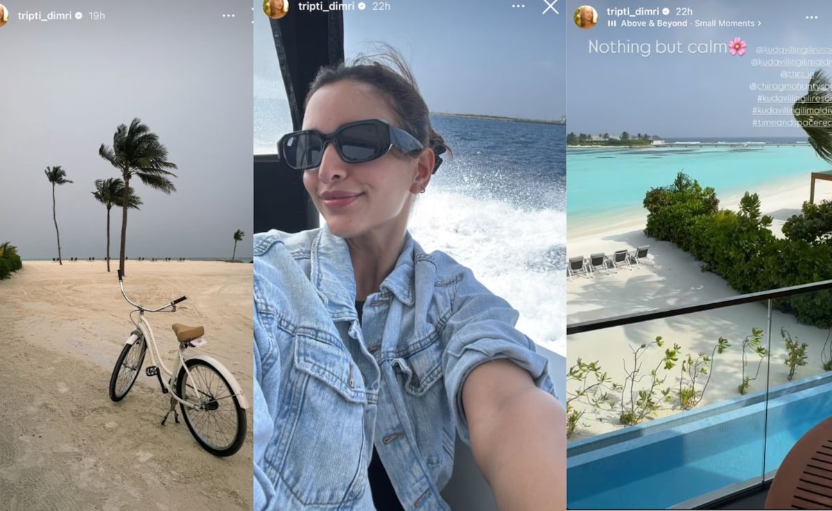 Glimpses from her trip. Photo: Instagram/tripti_dimri Glimpses from her trip. Photo: Instagram/tripti_dimri