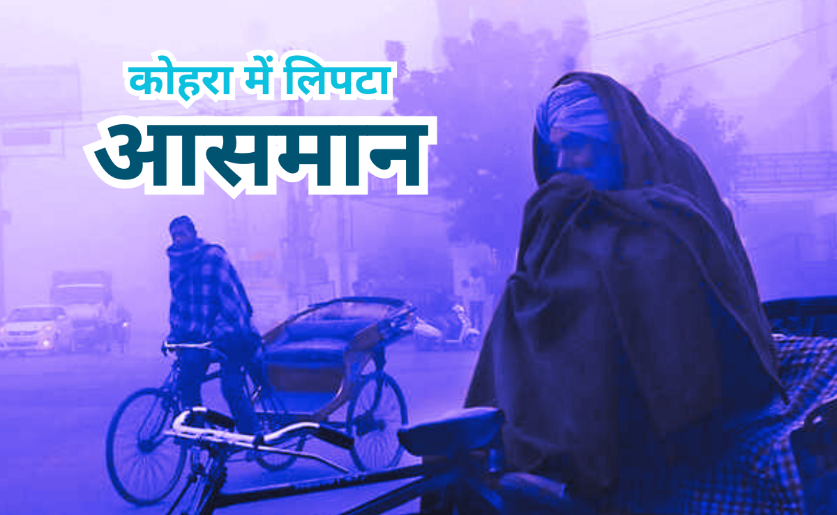 MP Fog: कोहरे की चादर में लिपटा आसमां, पचमढ़ी से भी ठंडा हुआ राजगढ़&nbsp;