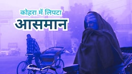 MP में कड़ाके की ठंड, जानें कब मिलेगी राहत? IMD ने दी बड़ी खुशखबरी