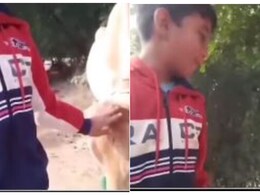 गाय के पास जाकर व्लॉग बना रहे बच्चे ने कहा- ये हमें मारती नहीं है... तभी गाय ने जो किया, हंसते-हंसते लोटपोट हुए लोग गाय के पास जाकर व्लॉग बना रहे बच्चे ने कहा- ये हमें मारती नहीं है... तभी गाय ने जो किया, हंसते-हंसते लोटपोट हुए लोग