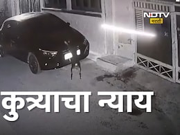 Dog Revenge : कुत्र्याचं 'बदलापूर', 'त्या' घटनेचा 12 तासांनी घेतला बदला, वाचा काय आहे प्रकार? Dog Revenge : कुत्र्याचं 'बदलापूर', 'त्या' घटनेचा 12 तासांनी घेतला बदला, वाचा काय आहे प्रकार?