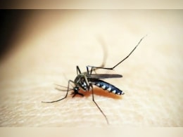 ग्वालियर में जापानी इंसेफेलाइटिस का पहला मरीज मिलने से हड़कंप, कोमा में पहुंची किशोरी; जानें वायरस के लक्षण