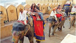 Elephant Ride in Amer Fort Price: आमेर किले में सस्ती हुई हाथी की सवारी, 1000 रुपये तक घट गए दाम; पर्यटकों में खुशी
