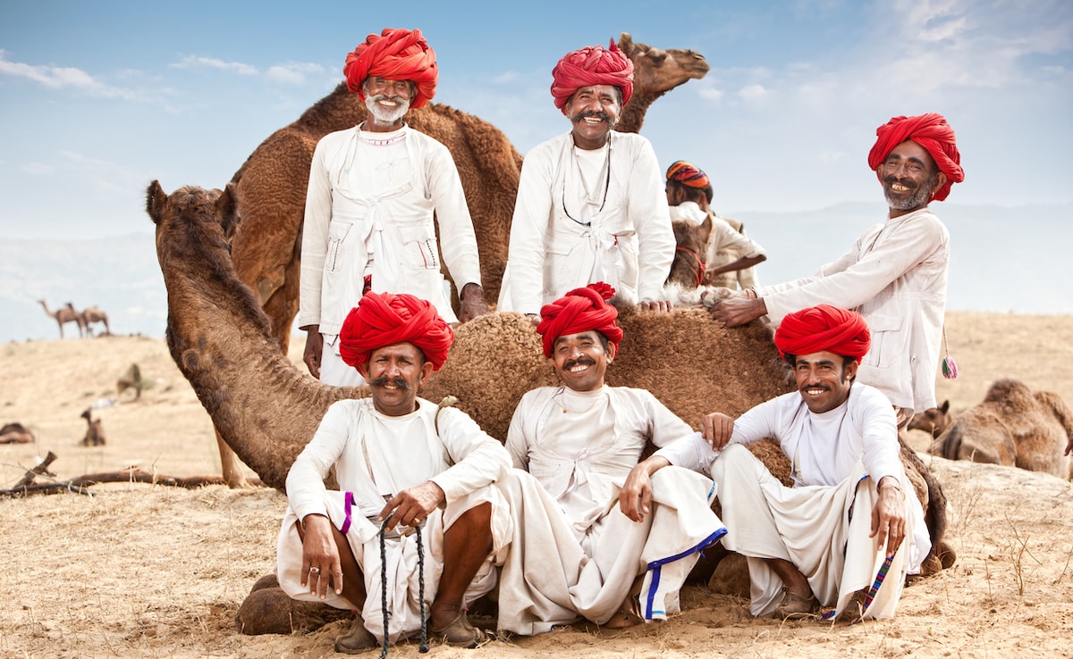 Photo: iStock Photo: iStock