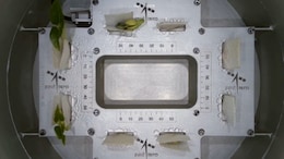 Growing <i>Methi</i> To Studying Muscle Cells: Top Biologist Lists Space Experiments