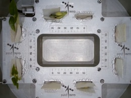 ISRO's Time-Lapse Video Shows How Plants Grow In Space ISRO's Time-Lapse Video Shows How Plants Grow In Space