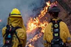 As LA Fires Rage, 24 Lives Lost And Political Tensions Soar As LA Fires Rage, 24 Lives Lost And Political Tensions Soar