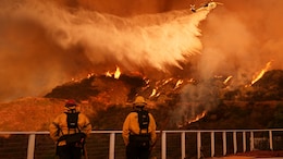 Los Angeles Wildfires Costliest In History: German Reinsurance Giant Munich Re