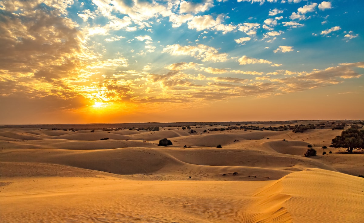 Photo: iStock Photo: iStock