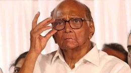 "Warned Against Misuse": Sharad Pawar On Change In Anti-Money Laundering Law