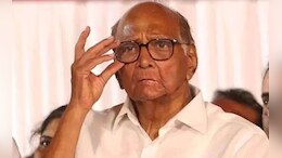 NCP News: शरद पवारांना आणखी एक दणका, आता 'हा' नेताही साथ सोडणार, 'घड्याळ' हाती बांधणार