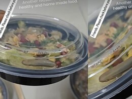 Viral Video: Customer Finds Live Worm In Zomato Meal, Cloud Kitchen Apologies