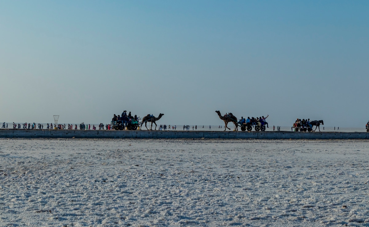 Latest and Breaking News on NDTV