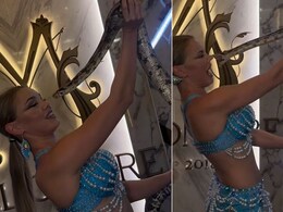 सांप को अपने चेहरे के पास लाकर पोज़ दे रही थी महिला, अचानक सांप ने नाक पर कर दिया अटैक, कस के दबोचा और फिर... सांप को अपने चेहरे के पास लाकर पोज़ दे रही थी महिला, अचानक सांप ने नाक पर कर दिया अटैक, कस के दबोचा और फिर...