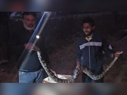 Viral: घर के बरामदे में छिपकर बैठा था 7 फीट लंबा अजगर, देखकर गांव वालों के उड़ गए होश! Viral: घर के बरामदे में छिपकर बैठा था 7 फीट लंबा अजगर, देखकर गांव वालों के उड़ गए होश!