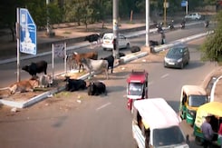In Delhi's Patparganj Seat, Garbage, Encroachment Key Issues In Delhi's Patparganj Seat, Garbage, Encroachment Key Issues