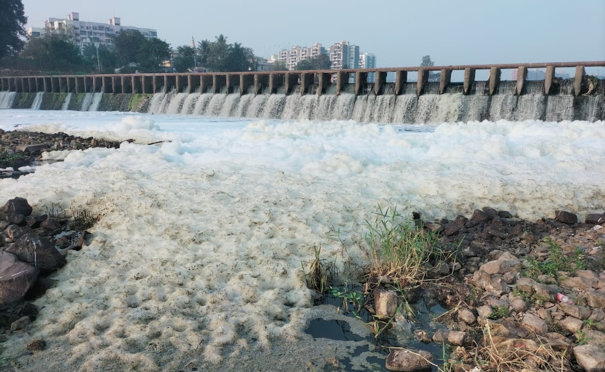 Latest and Breaking News on NDTV Latest and Breaking News on NDTV