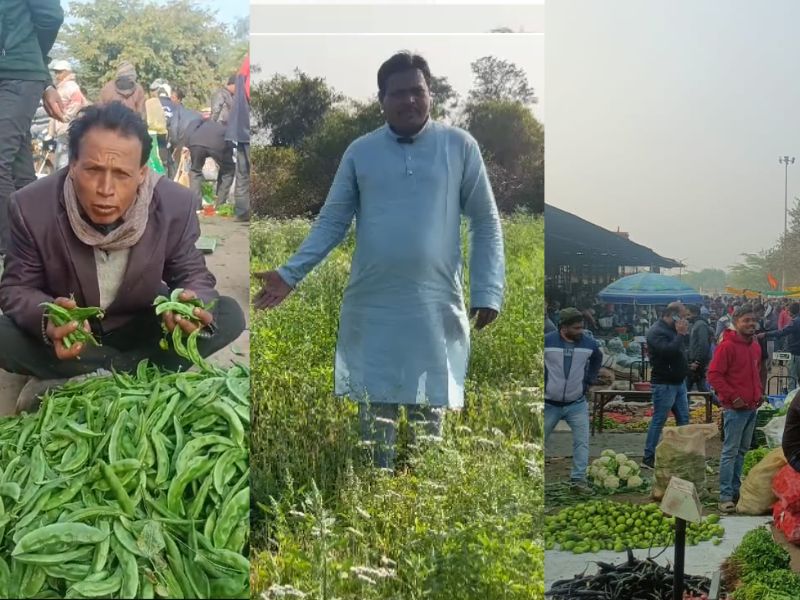 MP के इस जिले में सब्जी की खेती से किसानों को लाखों का नुकसान! चेहरों पर पसरी मायूसी, मेहनत-लागत निकालना भी अब मुश्किल